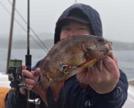 渡船屋たにぐち 釣果