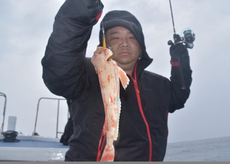 渡船屋たにぐち 釣果