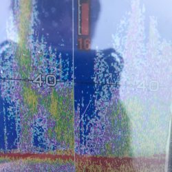 「LaGooN」蒼陽丸 日和号 釣果