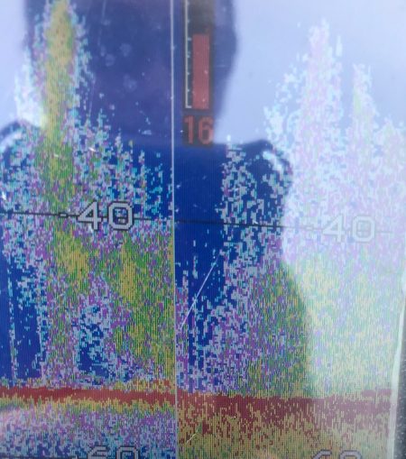 「LaGooN」蒼陽丸 日和号 釣果