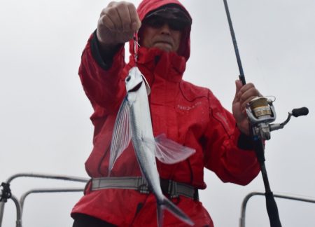 渡船屋たにぐち 釣果
