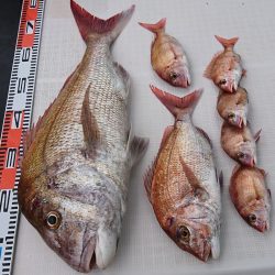 遊漁船 家入 釣果