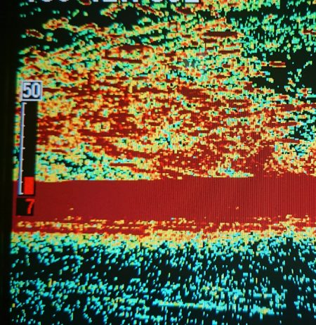 シースナイパー海龍 釣果