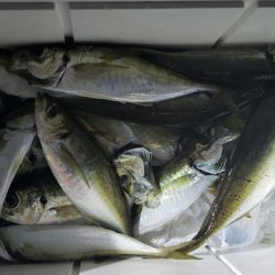 海龍丸（石川） 釣果