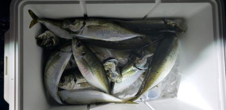 海龍丸（石川） 釣果