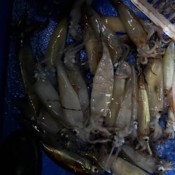 海龍丸（石川） 釣果