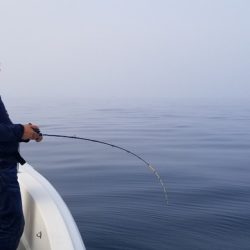 ソルトウォーターガイドフレンズ 釣果