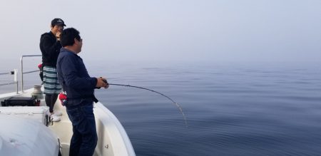 ソルトウォーターガイドフレンズ 釣果