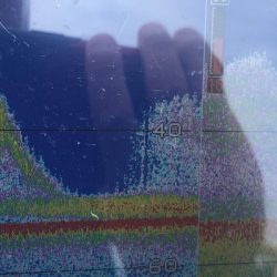 「LaGooN」蒼陽丸 日和号 釣果