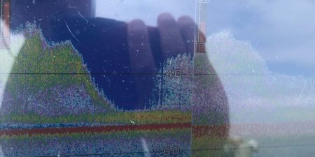 「LaGooN」蒼陽丸 日和号 釣果