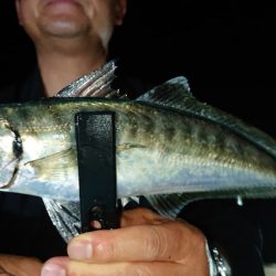 シースナイパー海龍 釣果