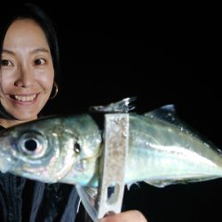 シースナイパー海龍 釣果