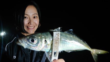 シースナイパー海龍 釣果
