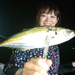 シースナイパー海龍 釣果