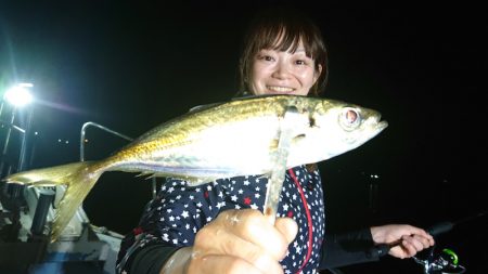 シースナイパー海龍 釣果