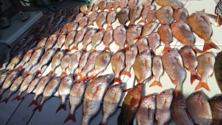 タイラバ遊漁船 ワンピース 釣果