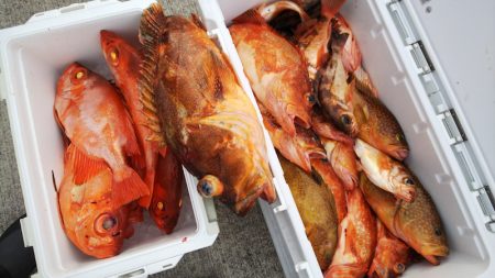 第二龍勢丸 釣果