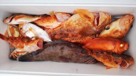 第二龍勢丸 釣果