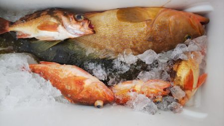 第二龍勢丸 釣果