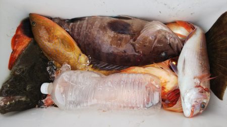 第二龍勢丸 釣果