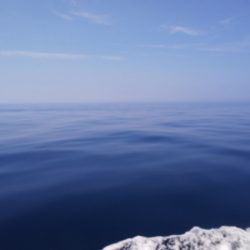 第二龍勢丸 釣果