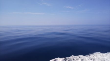 第二龍勢丸 釣果