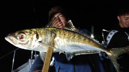 シースナイパー海龍 釣果