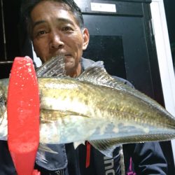 シースナイパー海龍 釣果