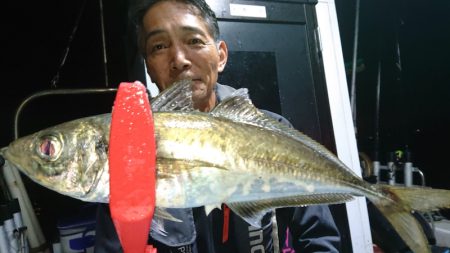 シースナイパー海龍 釣果