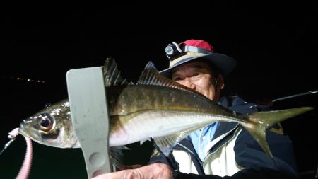 シースナイパー海龍 釣果