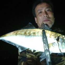 シースナイパー海龍 釣果