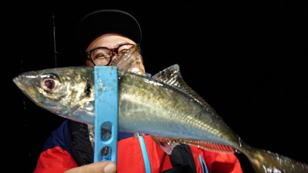 シースナイパー海龍 釣果