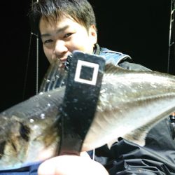 シースナイパー海龍 釣果