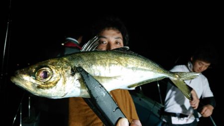 シースナイパー海龍 釣果