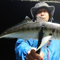 シースナイパー海龍 釣果