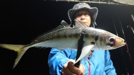 シースナイパー海龍 釣果