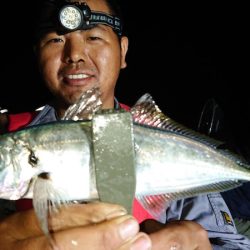 シースナイパー海龍 釣果