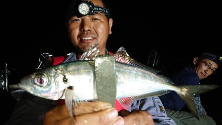 シースナイパー海龍 釣果