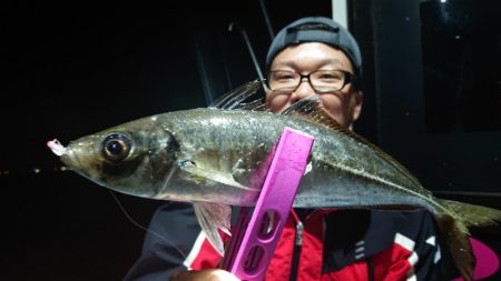 シースナイパー海龍 釣果