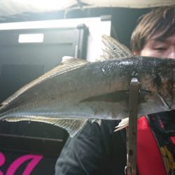 シースナイパー海龍 釣果