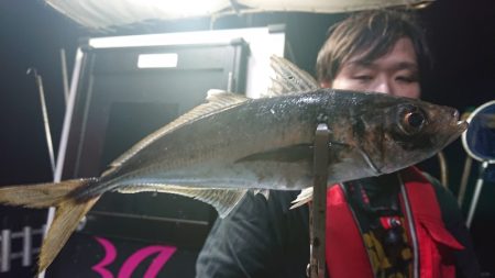 シースナイパー海龍 釣果