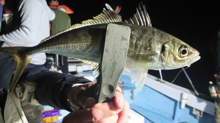 シースナイパー海龍 釣果