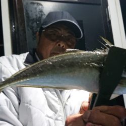 シースナイパー海龍 釣果