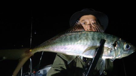 シースナイパー海龍 釣果