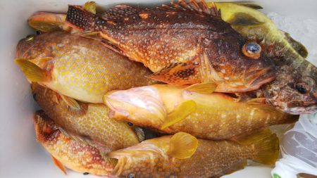 第二龍勢丸 釣果