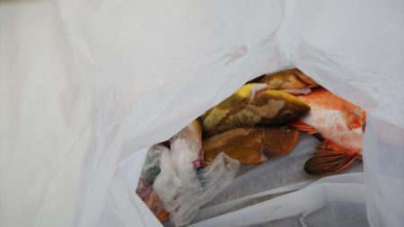 第二龍勢丸 釣果