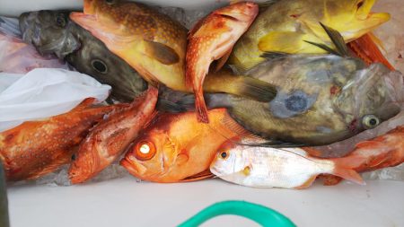 第二龍勢丸 釣果