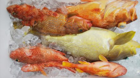 第二龍勢丸 釣果