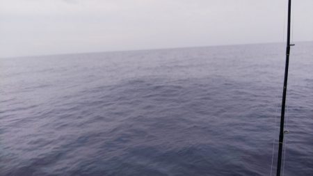 第二龍勢丸 釣果