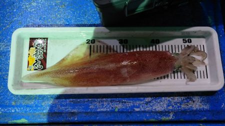 海龍丸（石川） 釣果